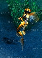 Golden Mermaids